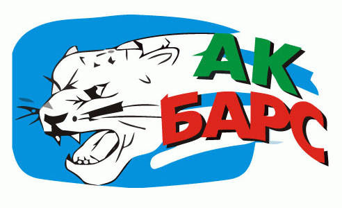 Ak Bars Kazan 2008-Pres Primary logo iron on transfers for T-shirts